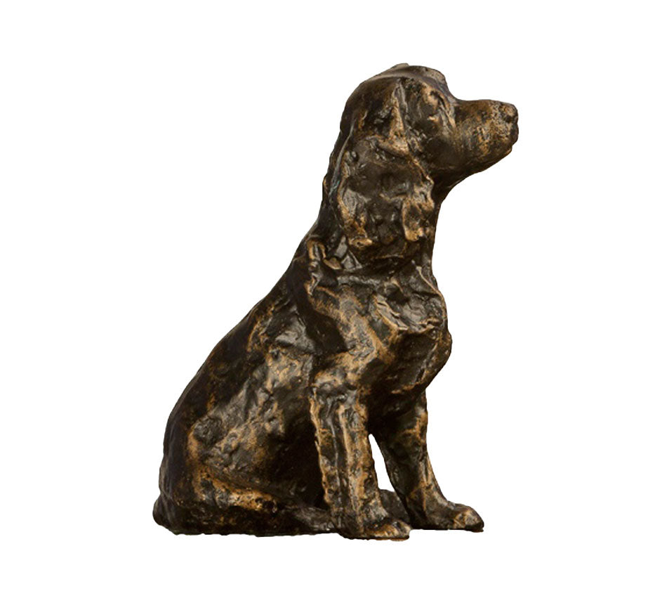 Bronze Irish Setter