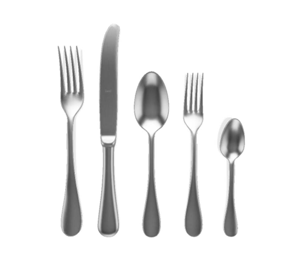 Brescia 5 Piece Flatware in Brushed Ice