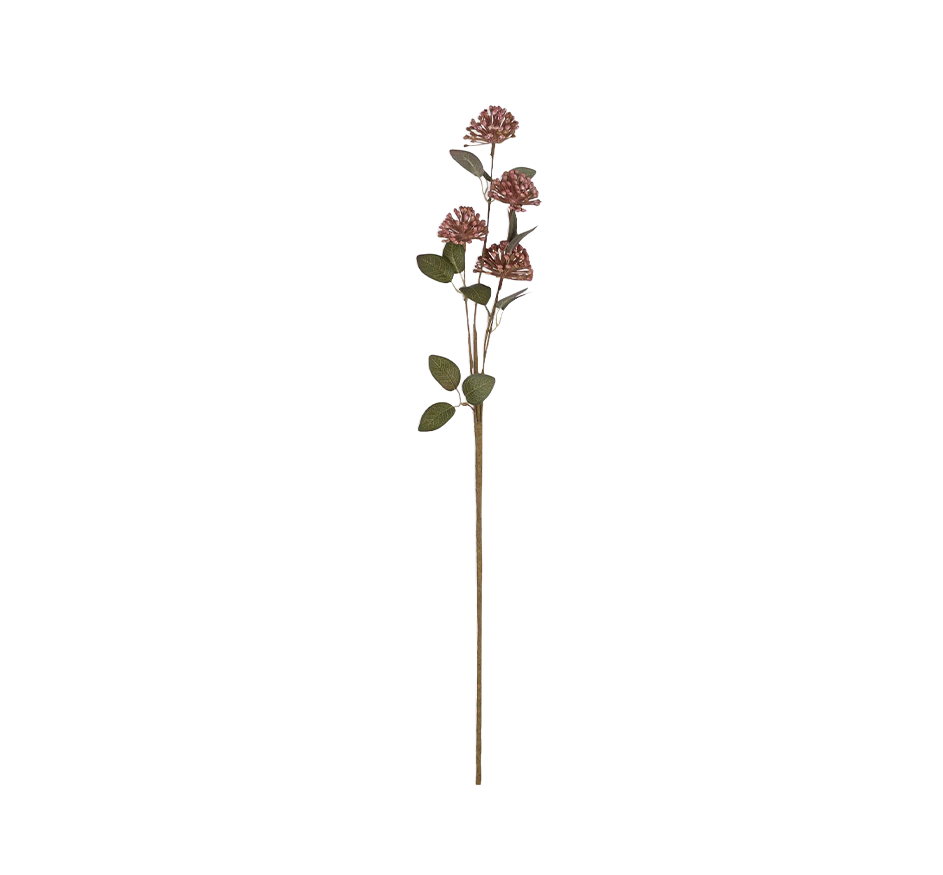 Eucalyptus Berry