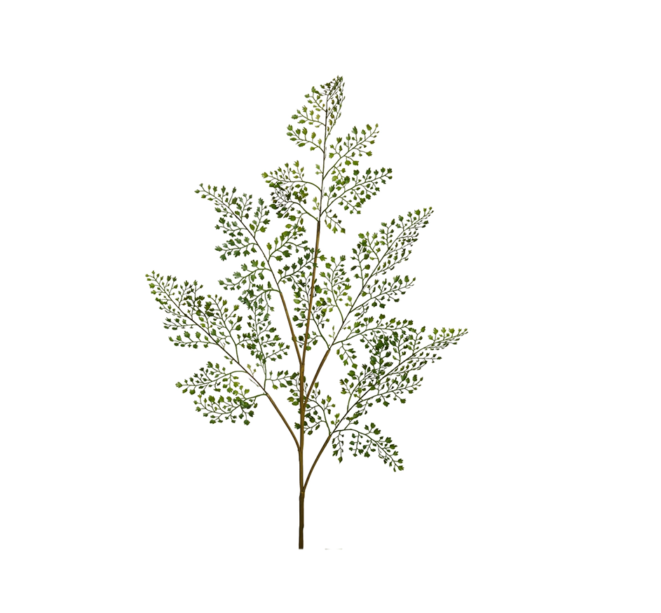 Maidenhair Fern Spray