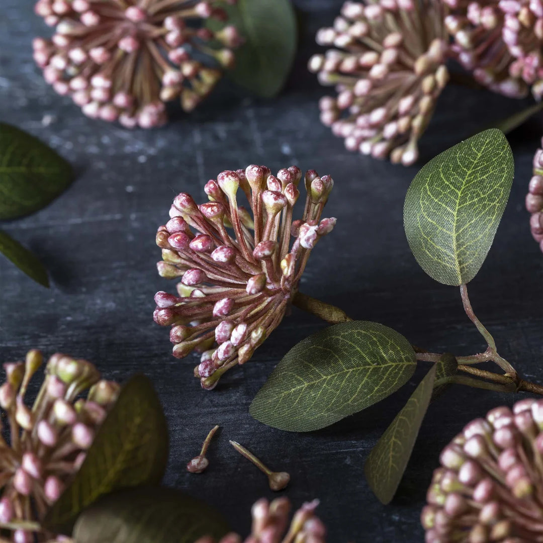Eucalyptus Berry