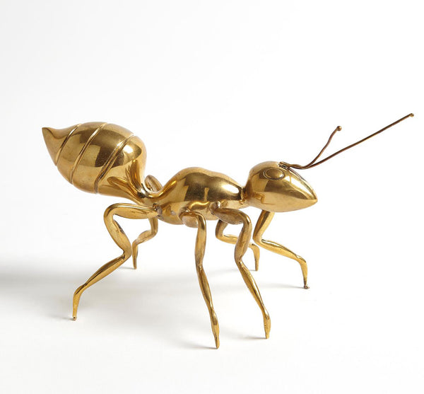 Brass Pharaoh Ant