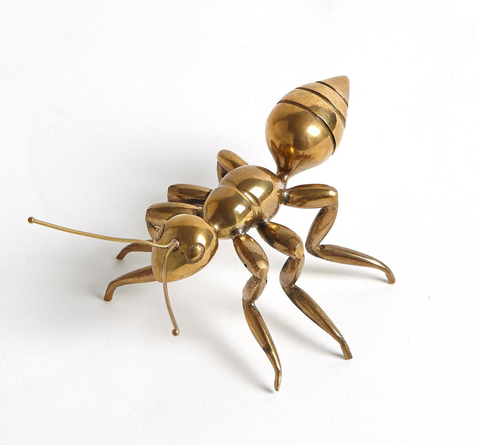 Brass Pharaoh Ant