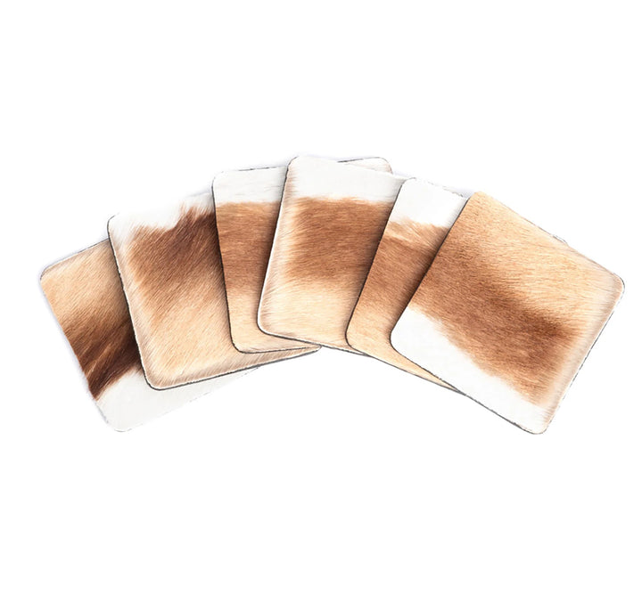 Springbok Hide Coasters (Set of 6)