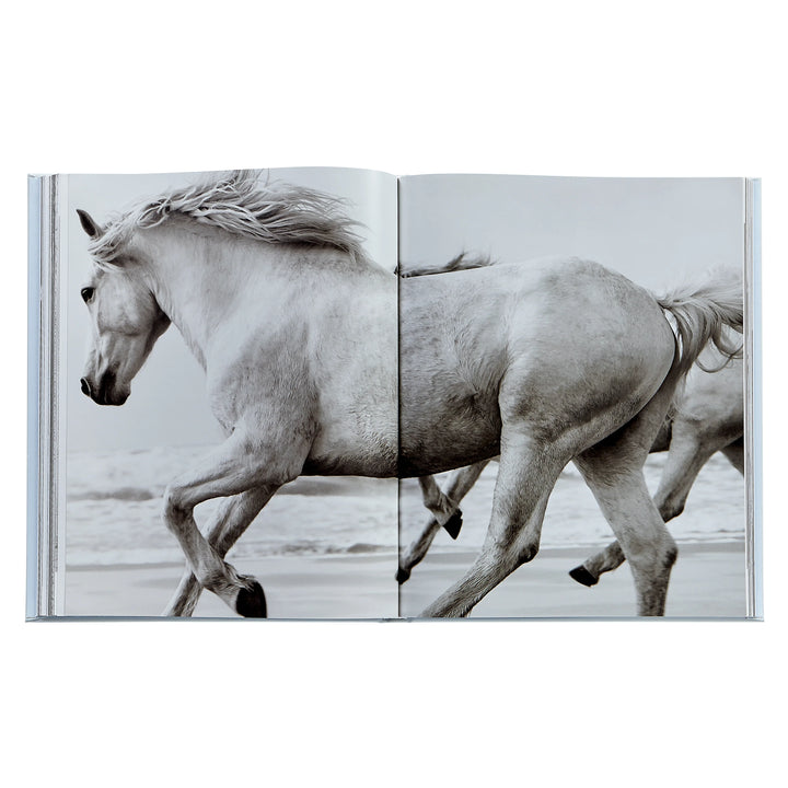 Untamed Spirits Book