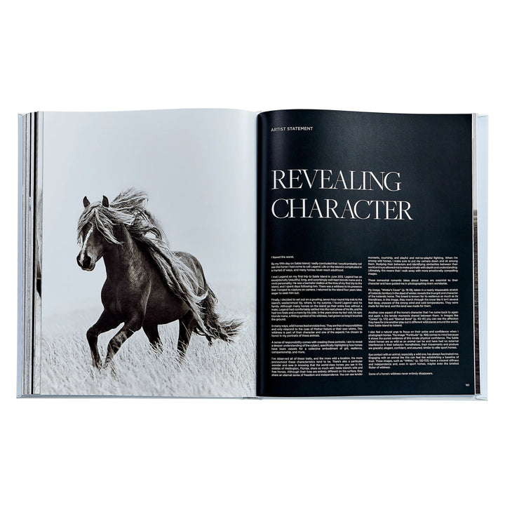 Untamed Spirits Book