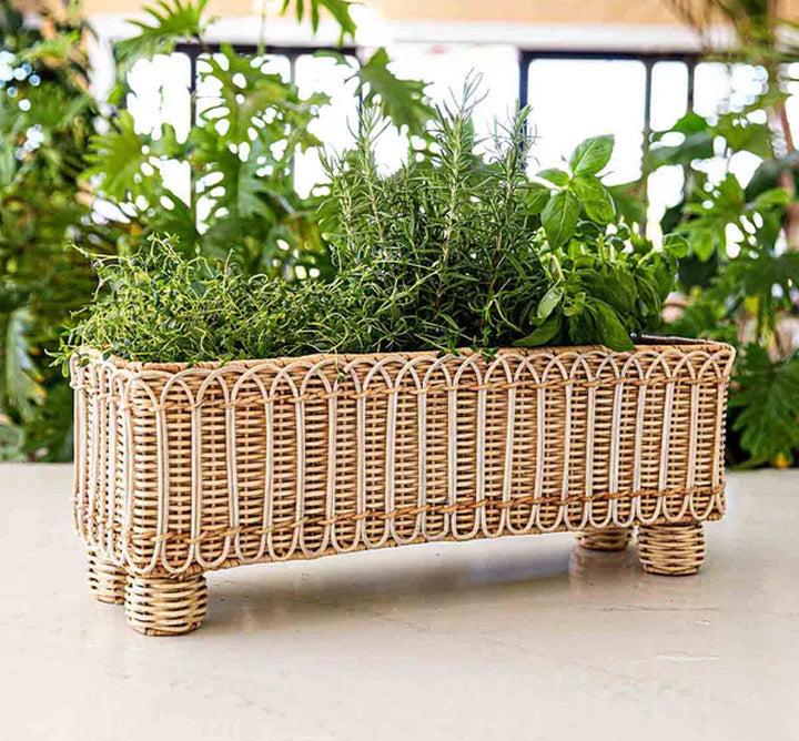 Provence Rattan Rectangular Planter - Whitewash