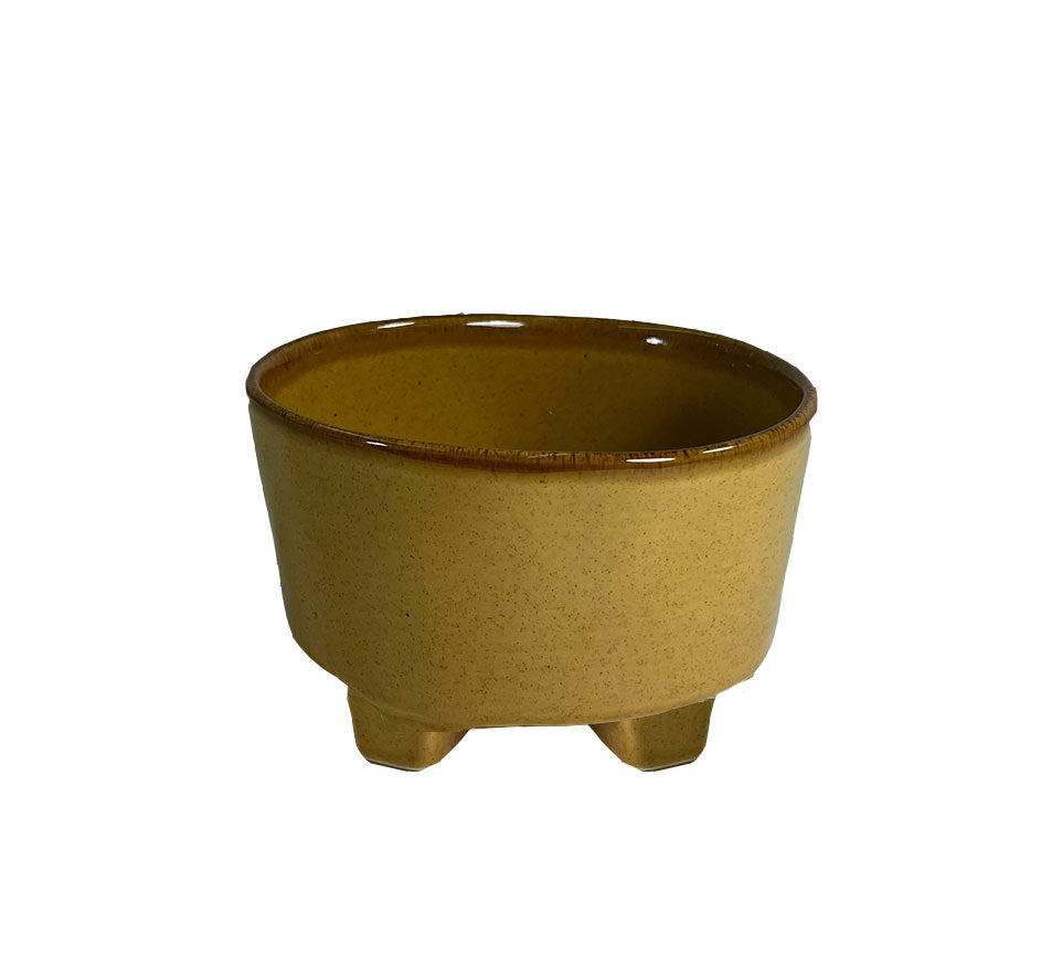 Riviera Footed Bowl Large In Lantana