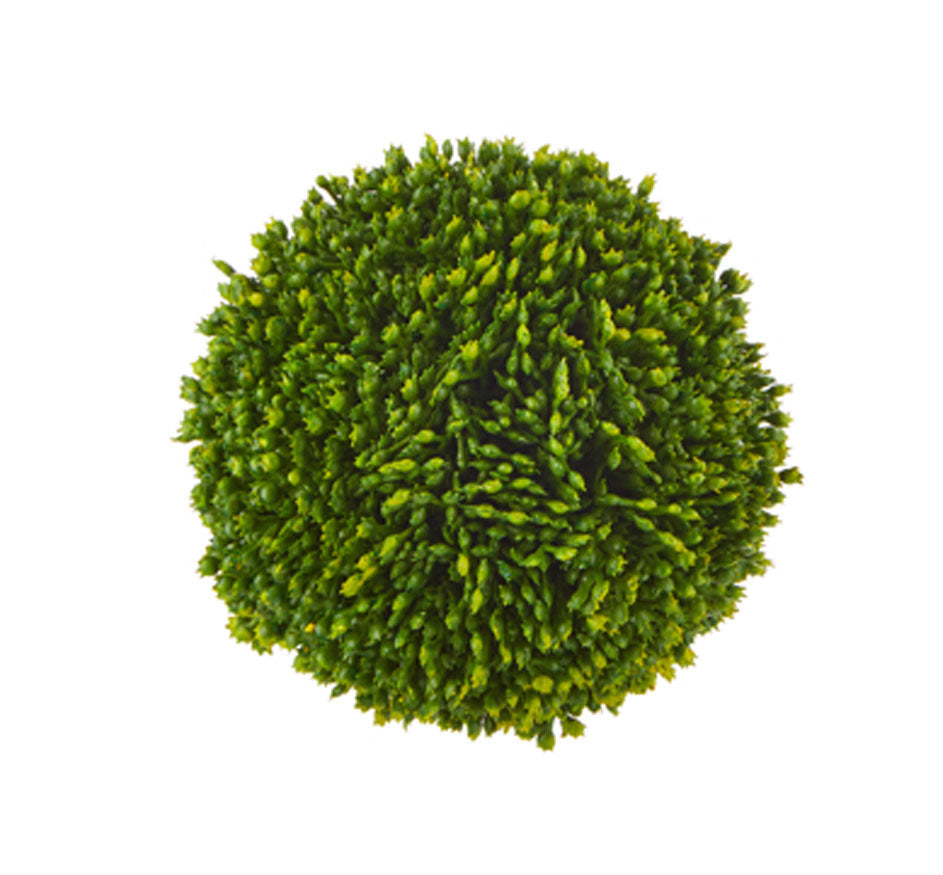 4" Sedum Ball