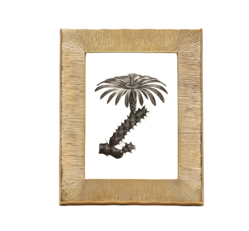 Tulua Gold in Brass (2 Sizes Available)