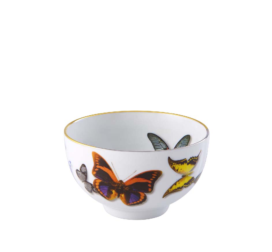 Butterfly Parade Rice Bowl