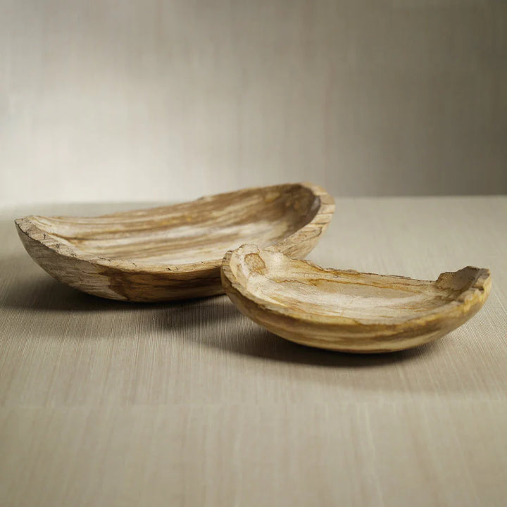 Petrified Wood Bowl