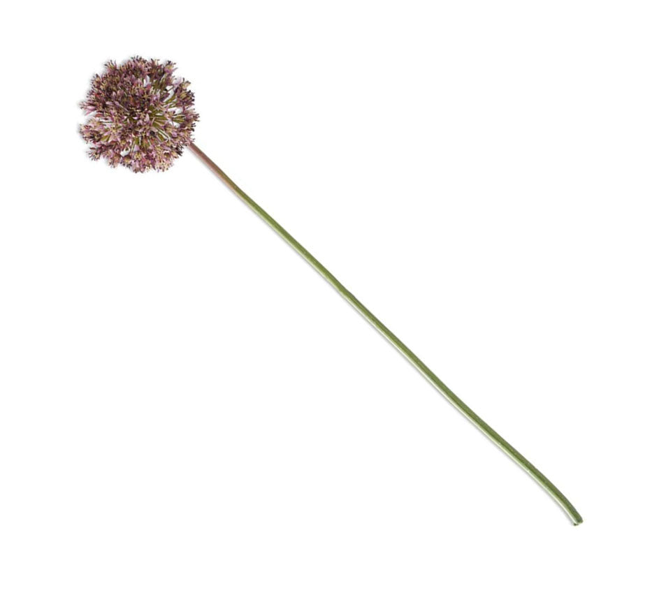 Dark Purple Allium Stem