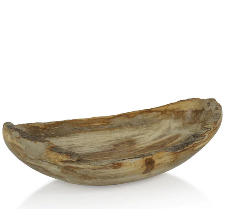 Petrified Wood Bowl