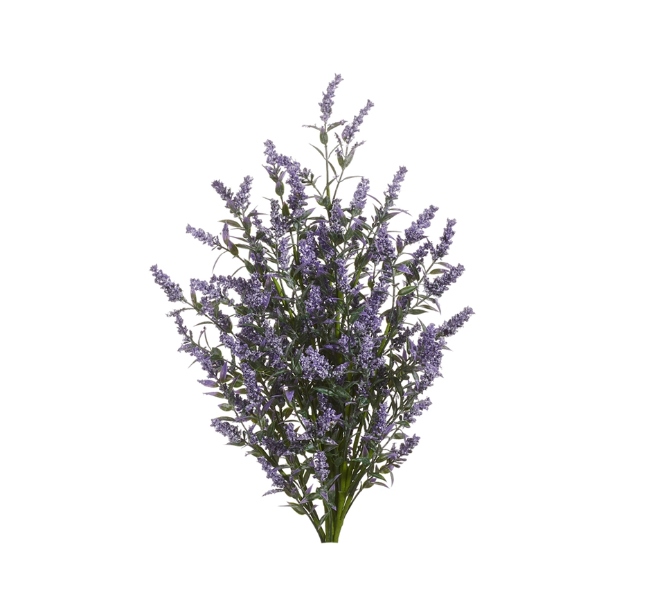 Lavender Spray