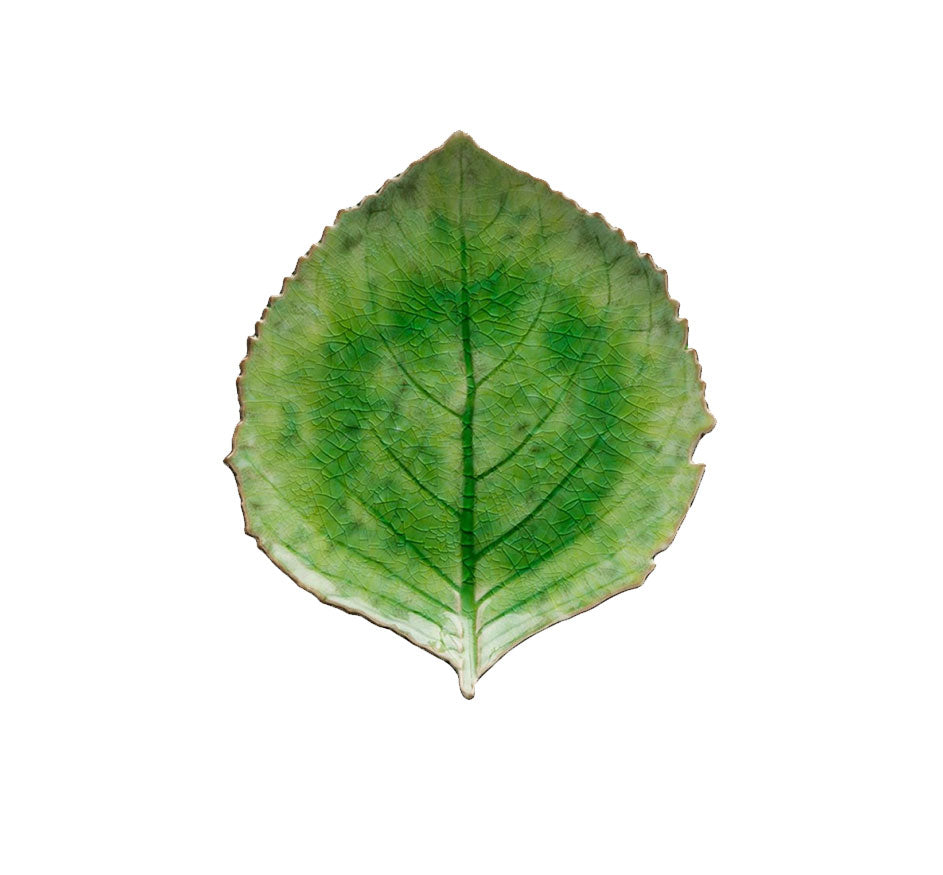 Riviera Hydrangea Leaf In Tomate
