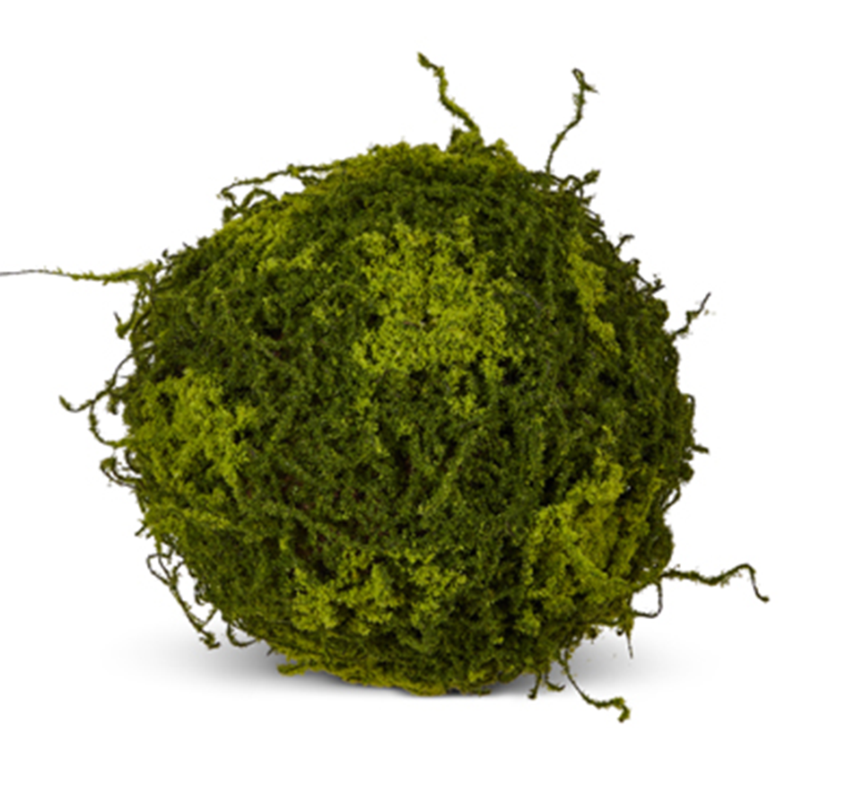 Moss Ball