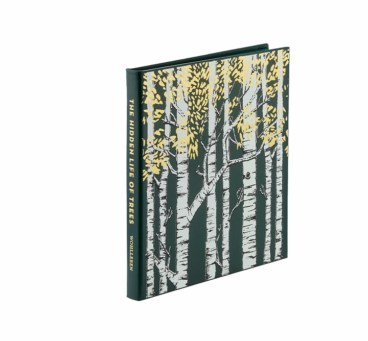 The Hidden Life of Trees