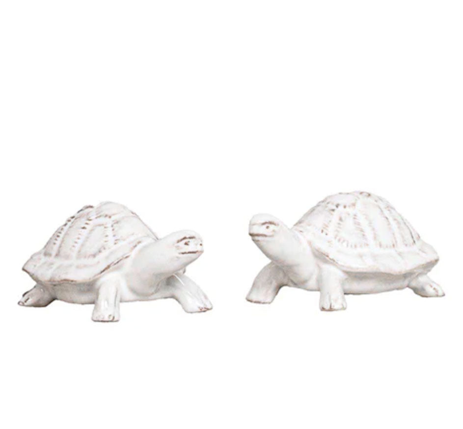 Clever Creatures Turtle Salt and Pepper Set/2pc