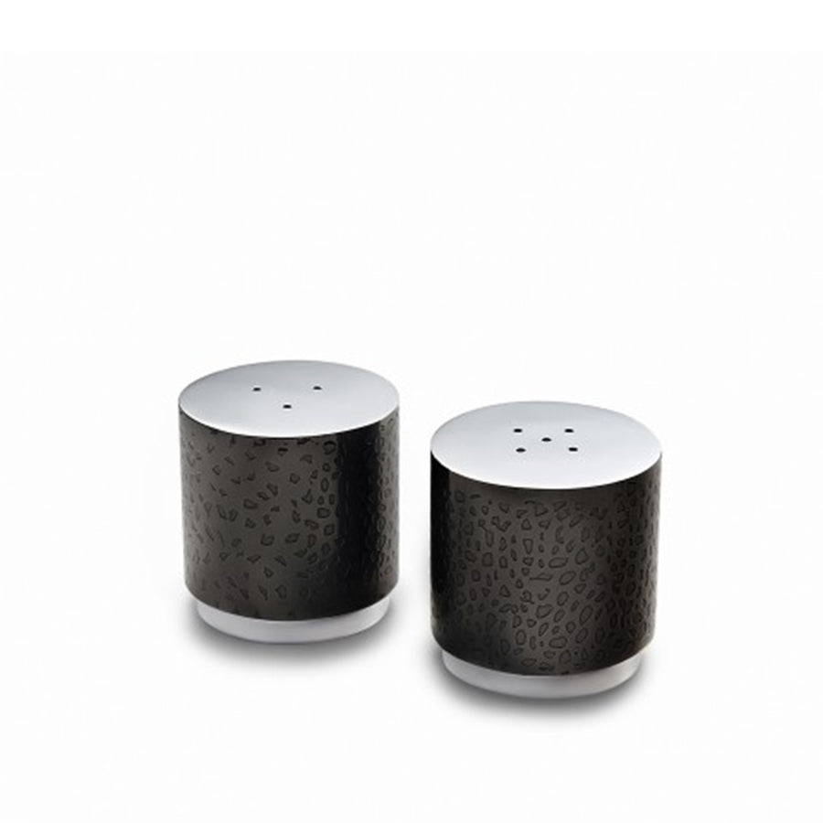 NorthStar Salt & Pepper Set