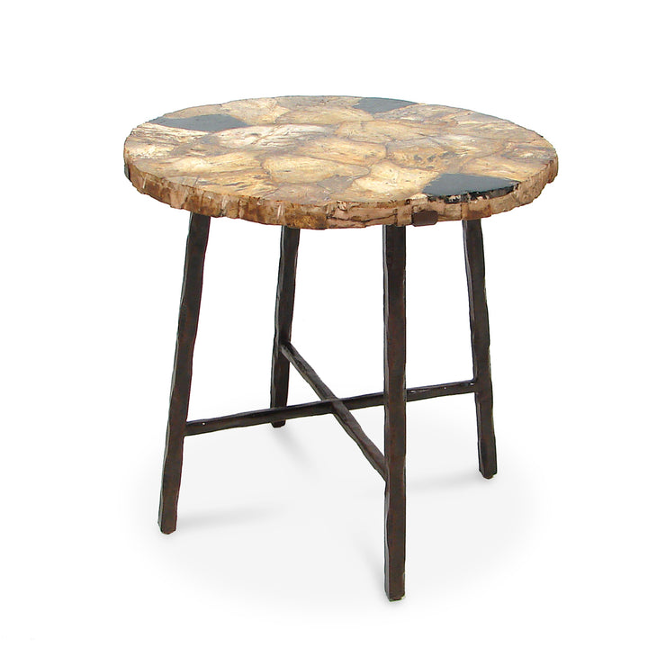 Petrified Wood Side Table Round