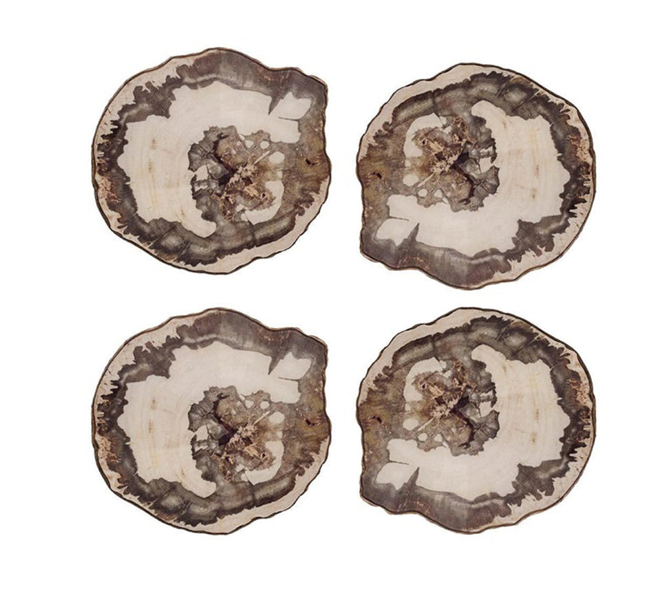 Petrified Wood Coaster Set (Set of 4)