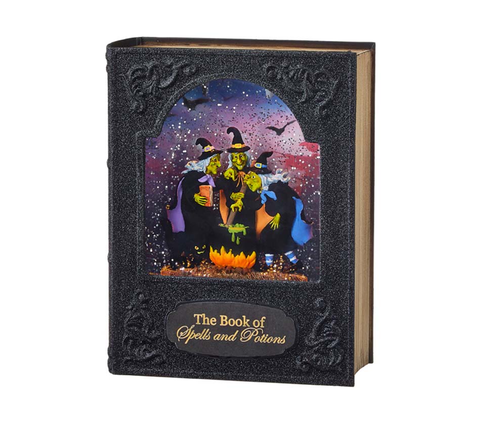 SPELLS AND POTIONS LIGHTED WATER BOOK