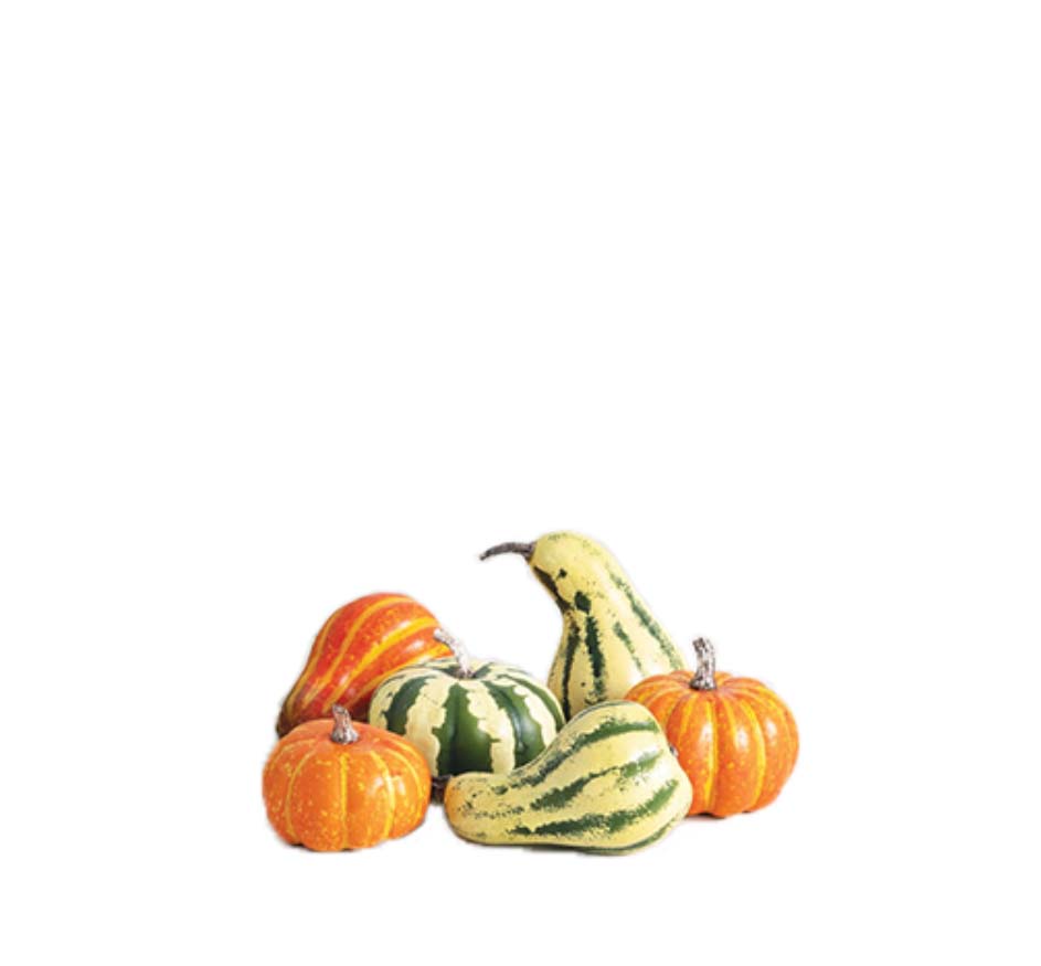 PUMPKINS IN BAG SET OF 6 4"