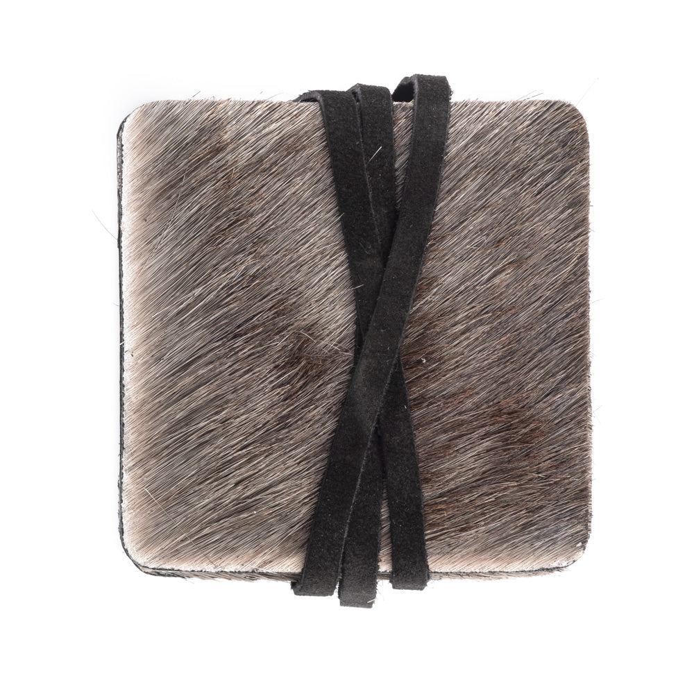 Wildebeest Coaster Set