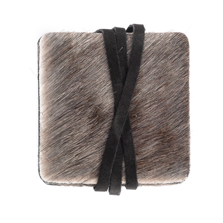 Wildebeest Coaster Set
