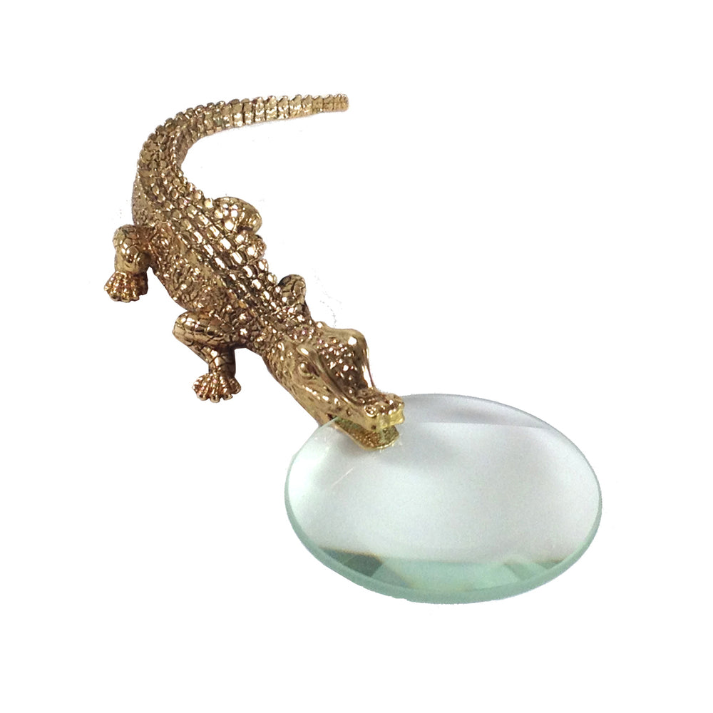 Crocodile Magnifying Glass