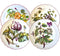 Chelsea Dessert Plate Collection (Discontinued)