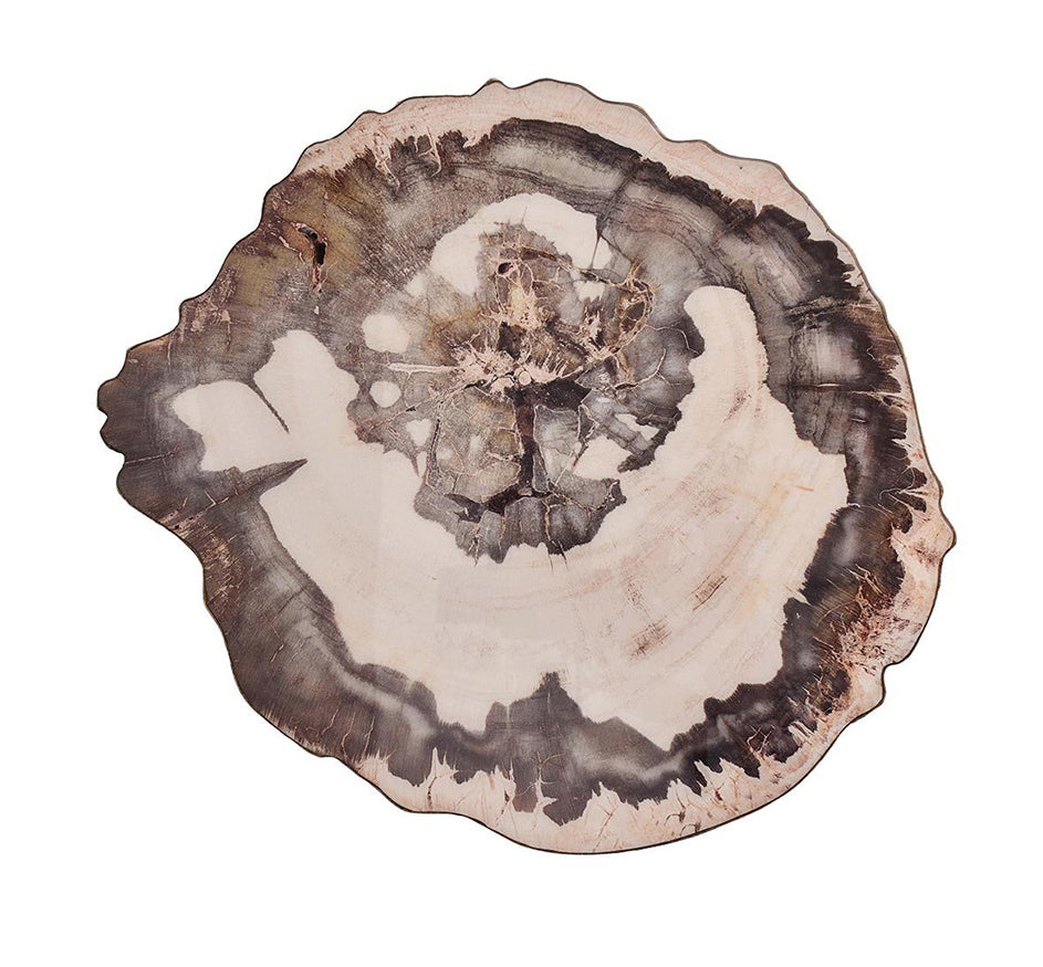 Petrified Wood Placemat